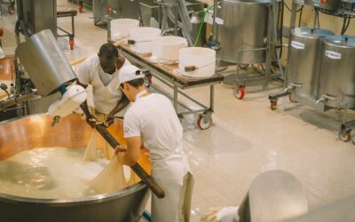 MainTrak vs UpKeep: choosing the right CMMS for food & beverage operations