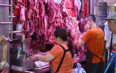 Case Study: How a Meat Plant Went from Dead Man Walking to Industry Leader