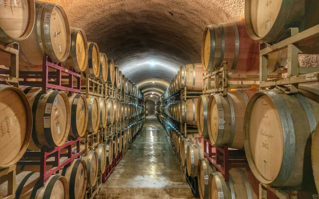 Case Study: How a Winery Digitised 30 Years of Knowledge in Just 3 Days